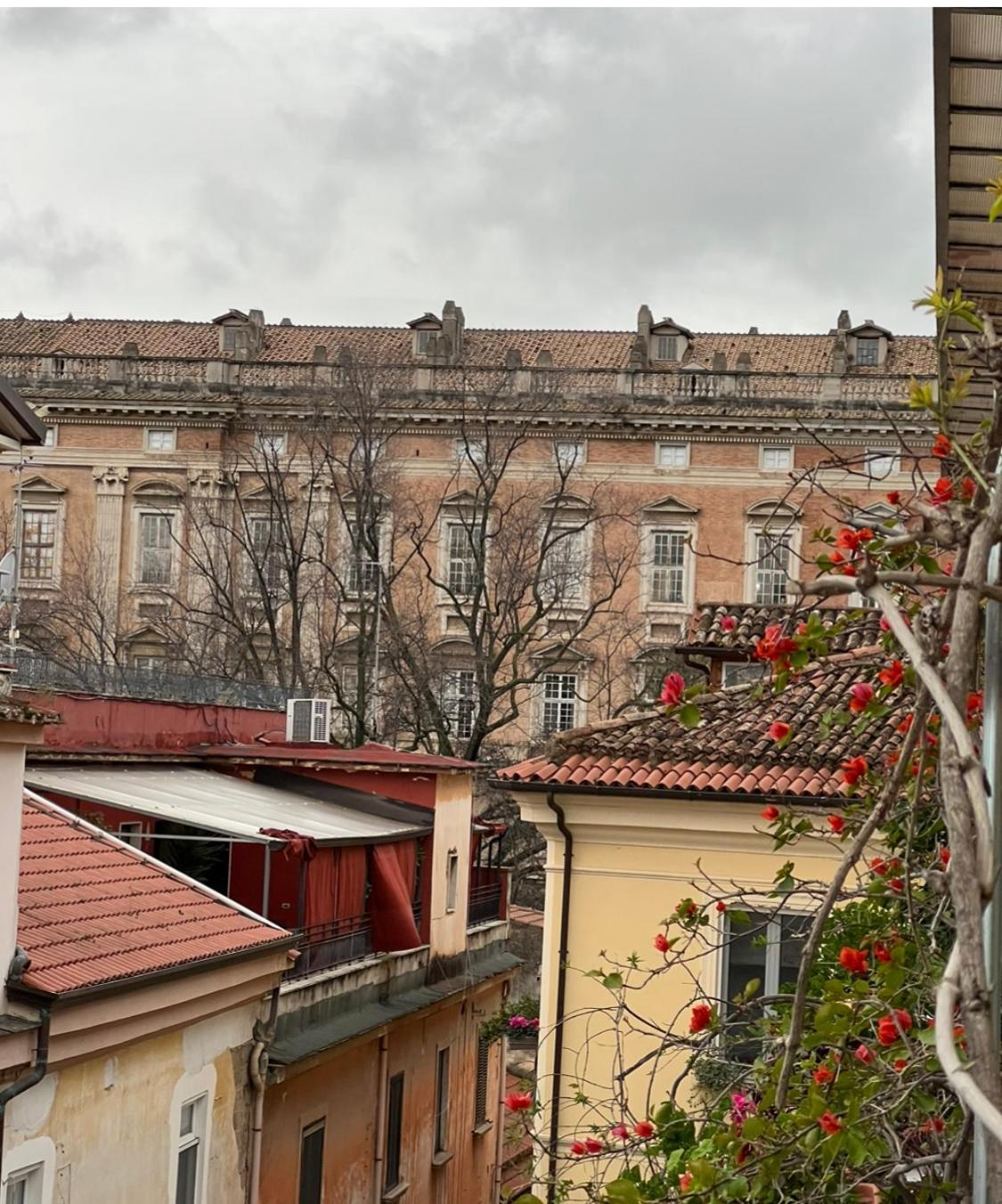 White Elegance Luxury B&B Caserta Zewnętrze zdjęcie